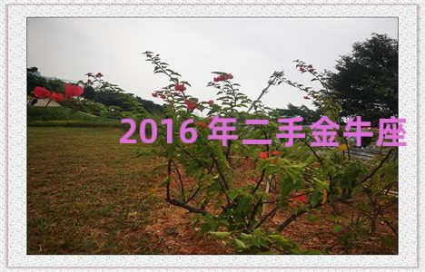 2016 年二手金牛座